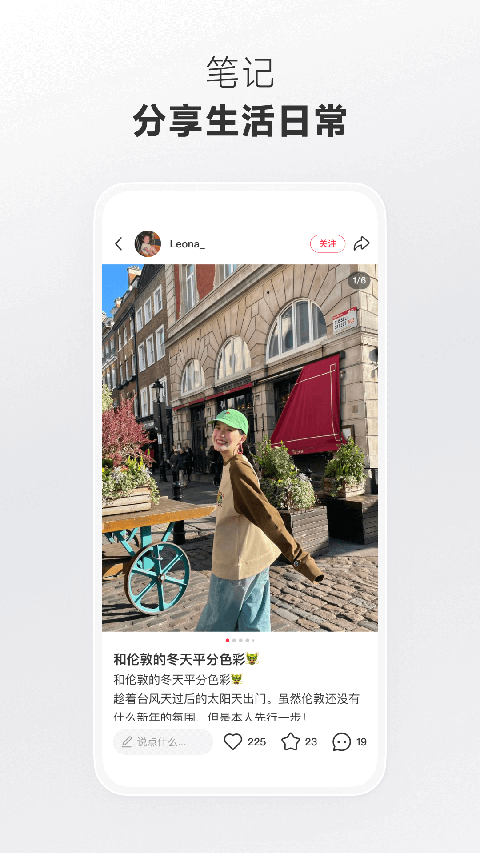 热带雨林里兰花与蜂鸟的壁纸
